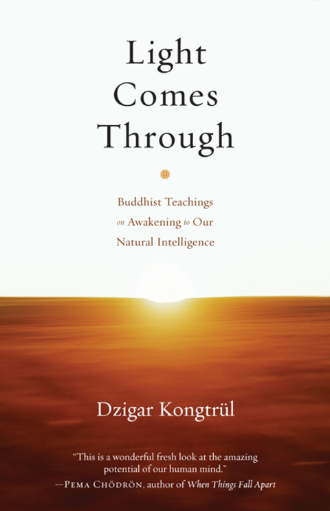 Cover image for book Light Comes Through