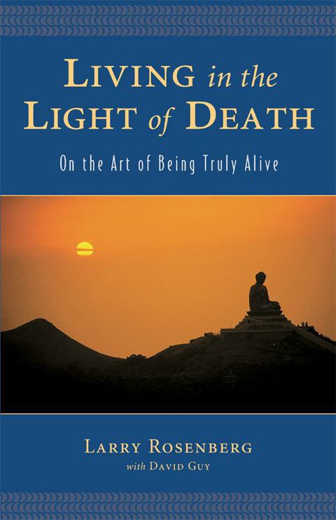 Cover image for book Living in the Light of Death