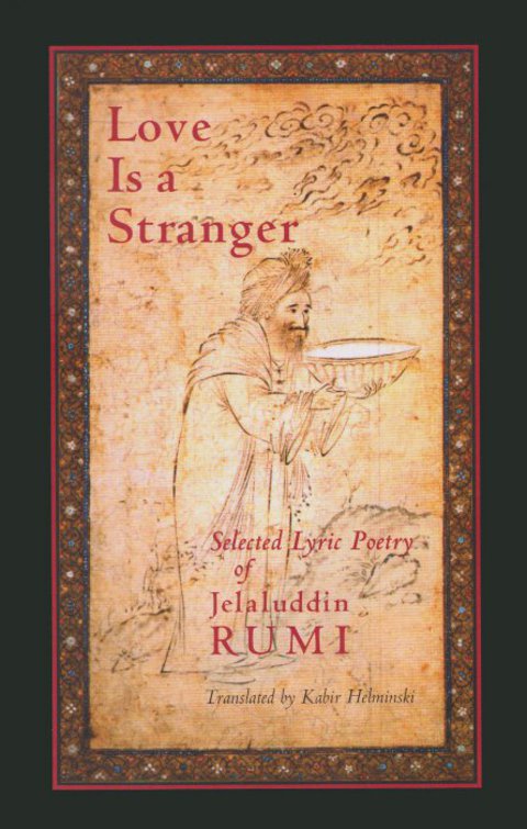 Cover image for book Love is a Stranger