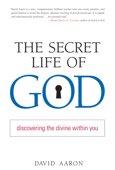 Cover image for book The Secret Life of God