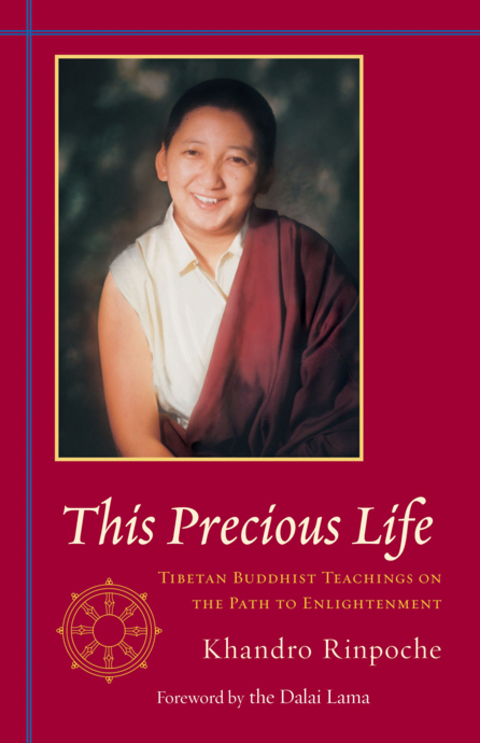 Cover image for book This Precious Life