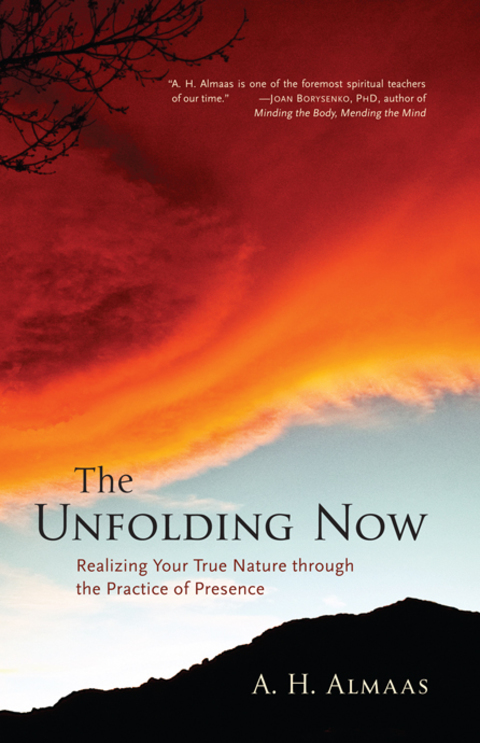 Cover image for book The Unfolding Now