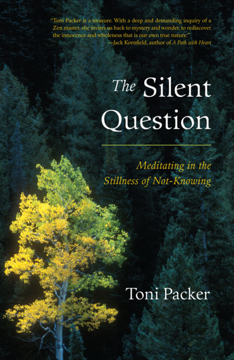 Cover image for book The Silent Question