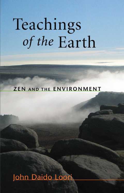 Cover image for book Teachings of the Earth