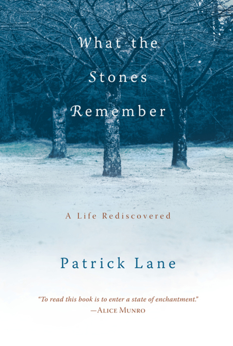 Cover image for book What the Stones Remember