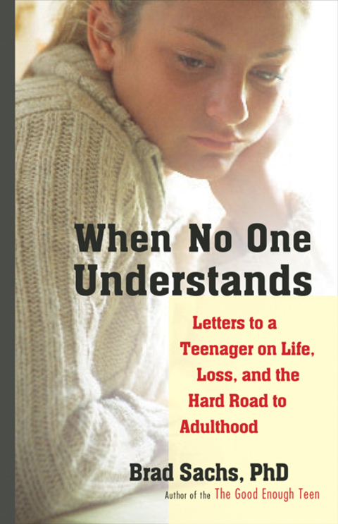 Cover image for book When No One Understands