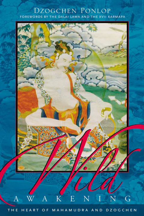 Cover image for book Wild Awakening