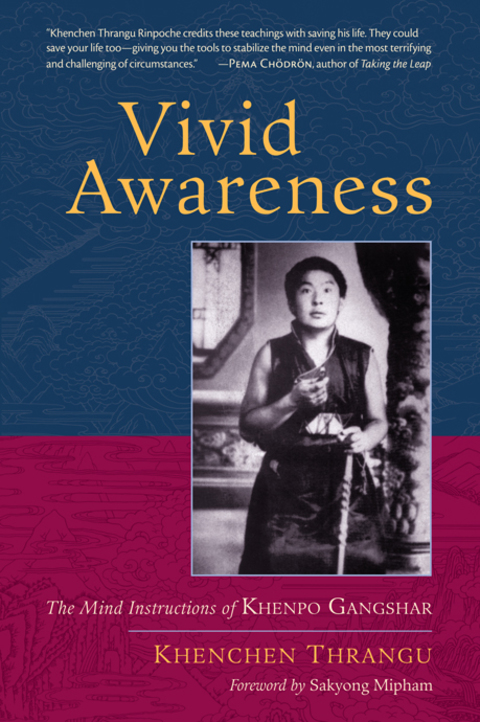 Cover image for book Vivid Awareness