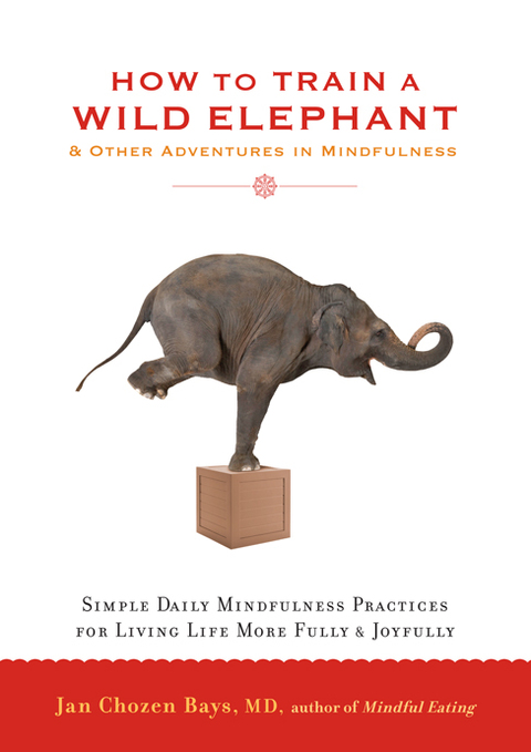 Cover image for book How to Train a Wild Elephant