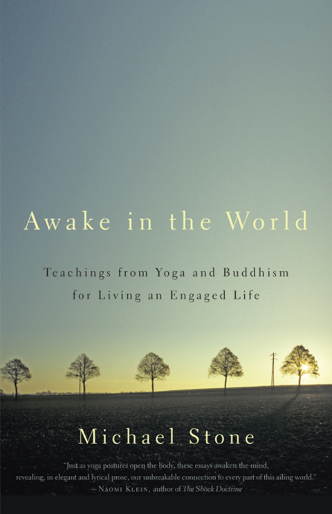 Cover image for book Awake in the World