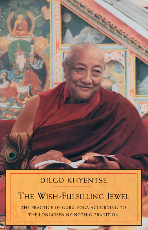 Cover image for book The Wish-Fulfilling Jewel