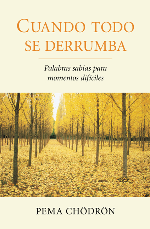 Cover image for book Cuando todo se derrumba (When Things Fall Apart)