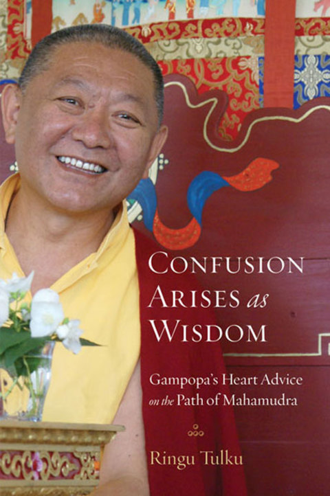 Cover image for book Confusion Arises as Wisdom