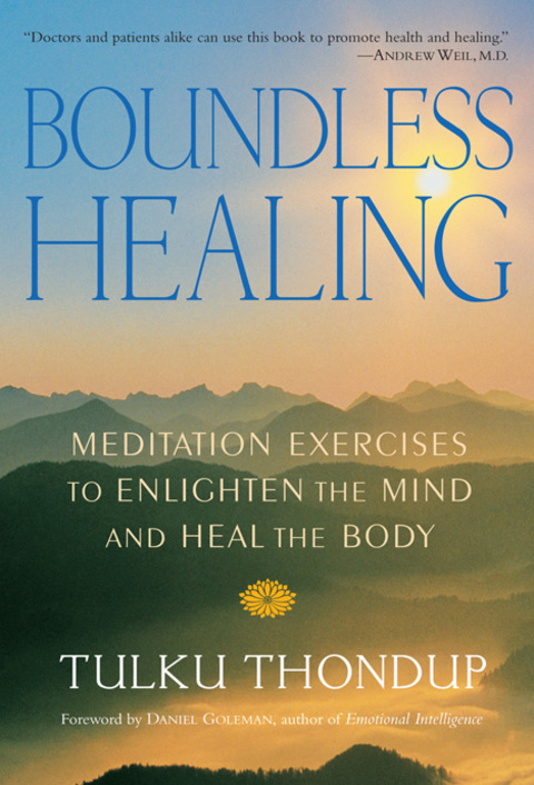 Cover image for book Boundless Healing