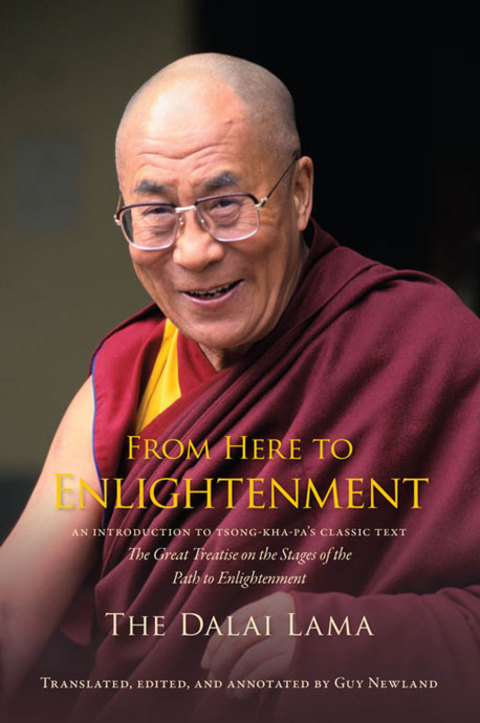 Cover image for book From Here to Enlightenment