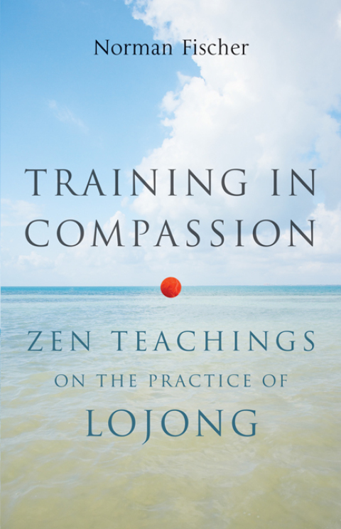 Cover image for book Training in Compassion