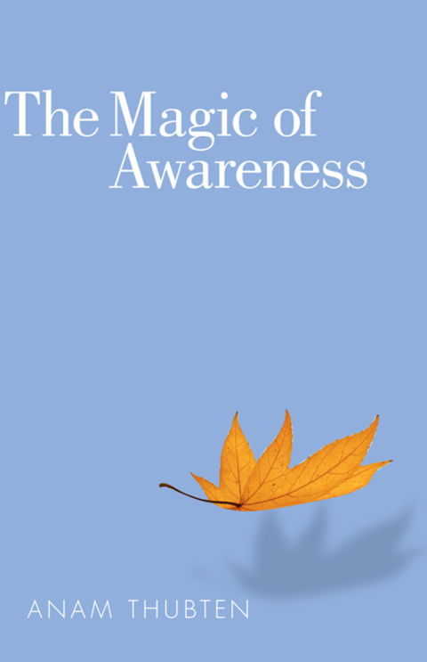 Cover image for book The Magic of Awareness