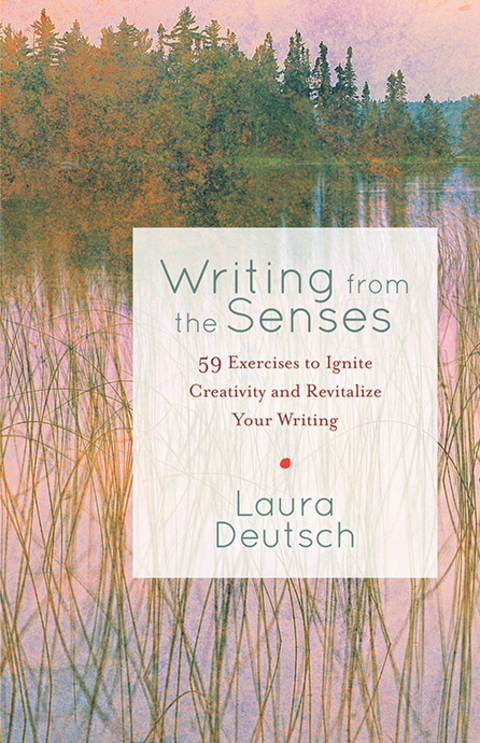 Cover image for book Writing from the Senses