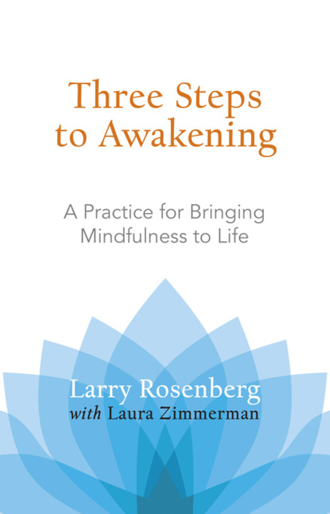 Cover image for book Three Steps to Awakening
