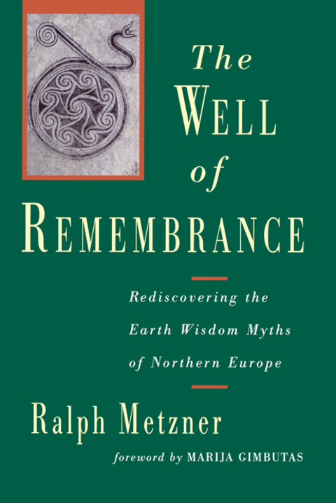 Cover image for book The Well of Remembrance