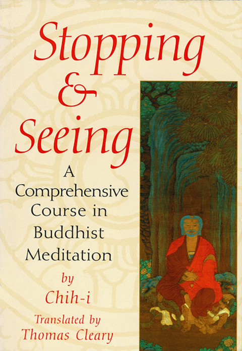 Cover image for book Stopping and Seeing