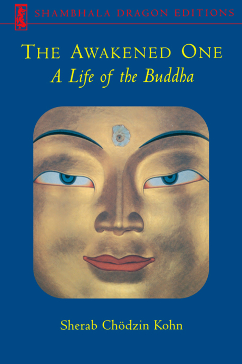 Cover image for book The Awakened One
