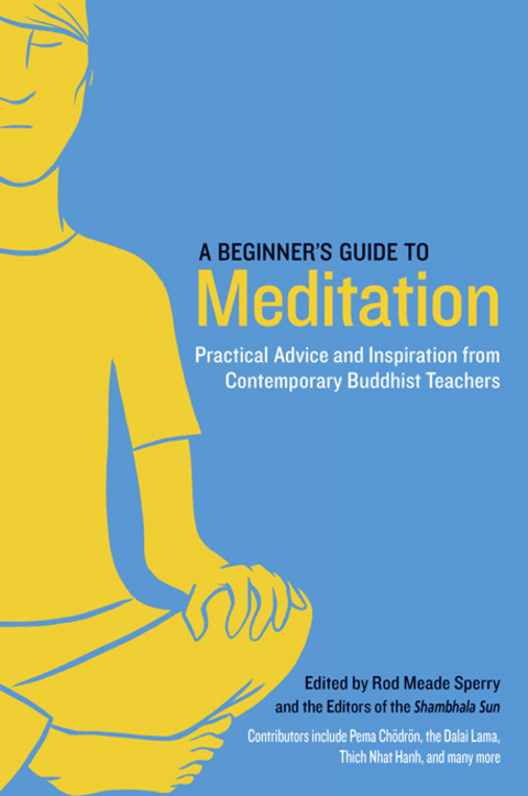 Cover image for book A Beginner's Guide to Meditation