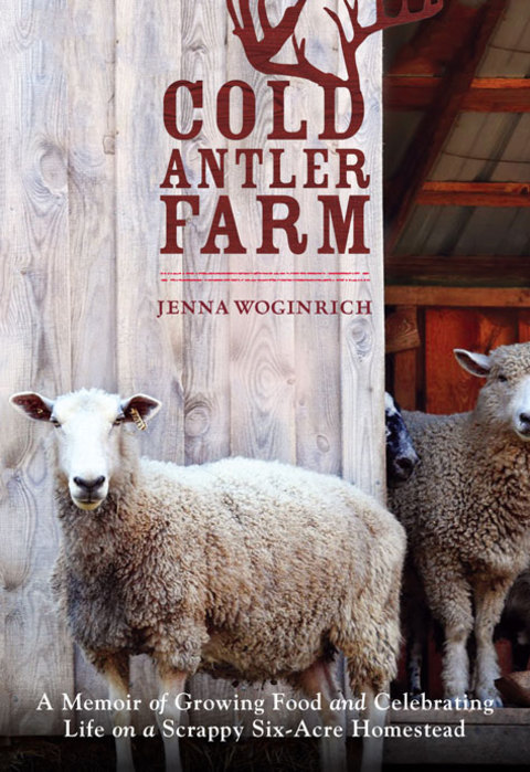 Cover image for book Cold Antler Farm