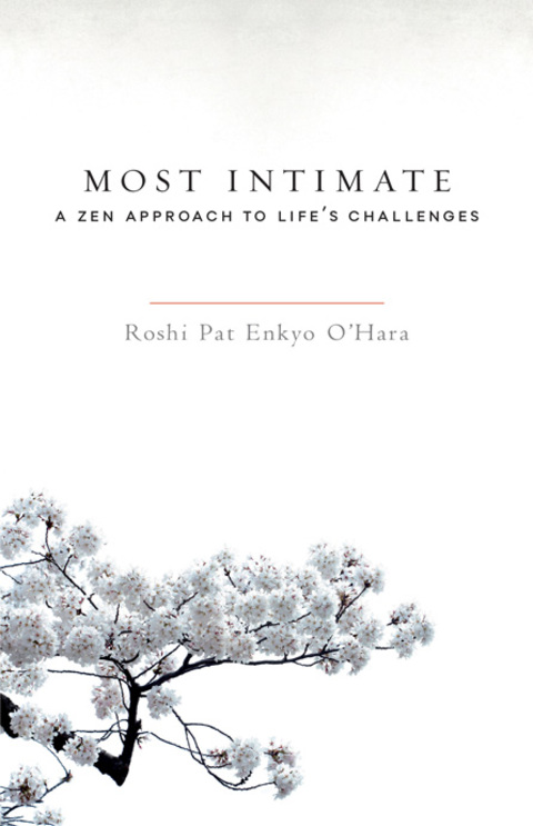 Cover image for book Most Intimate