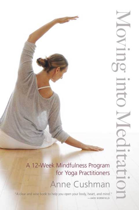 Cover image for book Moving into Meditation