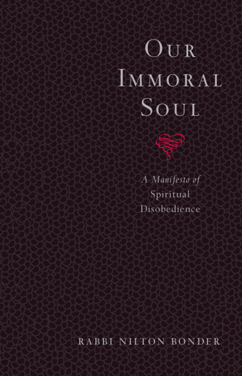 Cover image for book Our Immoral Soul