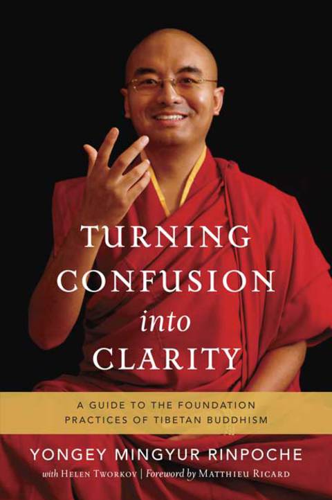 Cover image for book Turning Confusion into Clarity