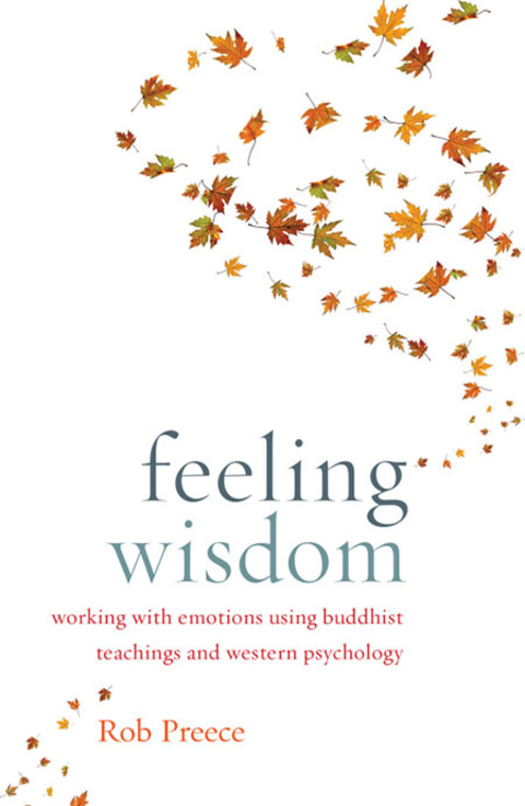 Cover image for book Feeling Wisdom