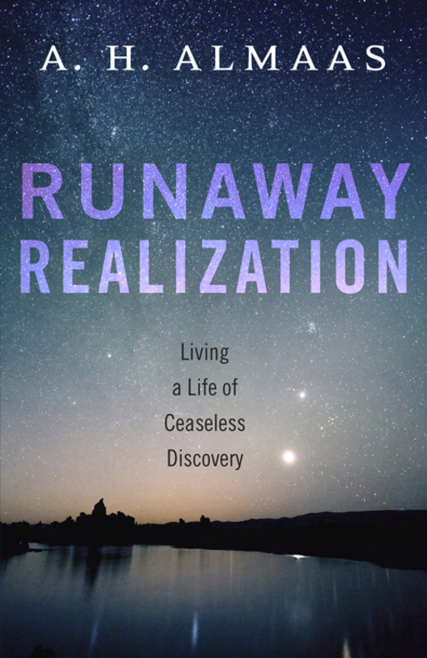 Cover image for book Runaway Realization