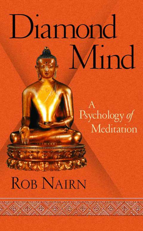 Cover image for book Diamond Mind
