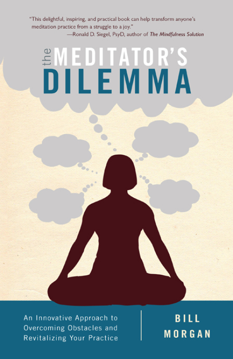Cover image for book The Meditator's Dilemma