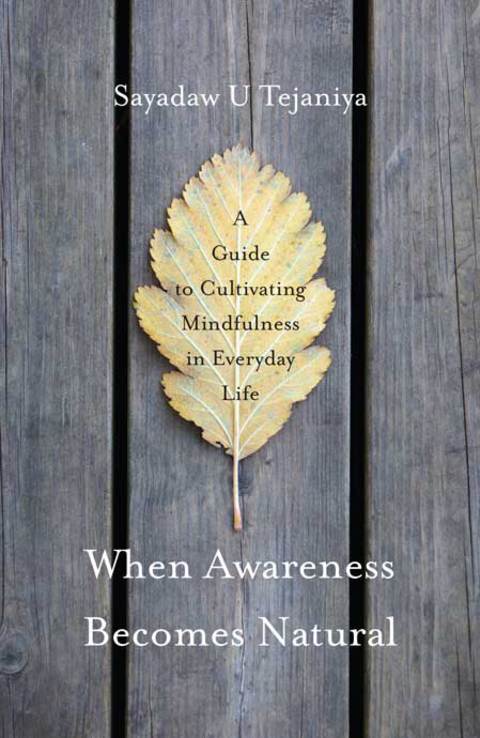 Cover image for book When Awareness Becomes Natural