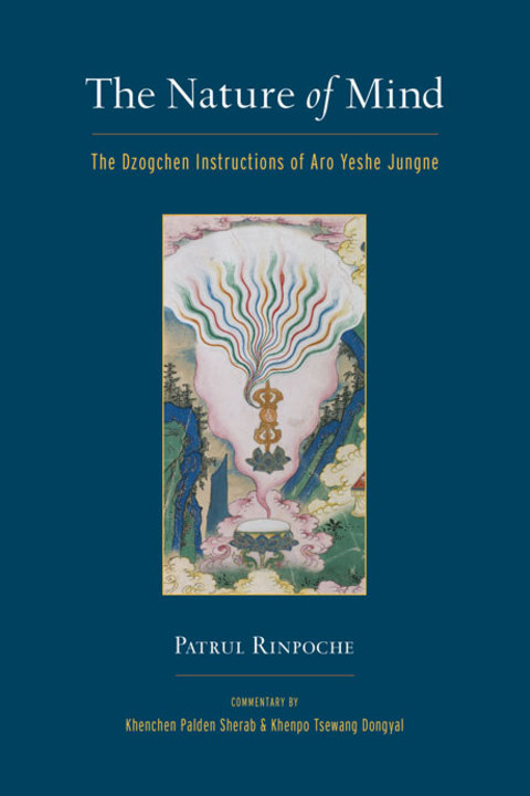 Cover image for book The Nature of Mind