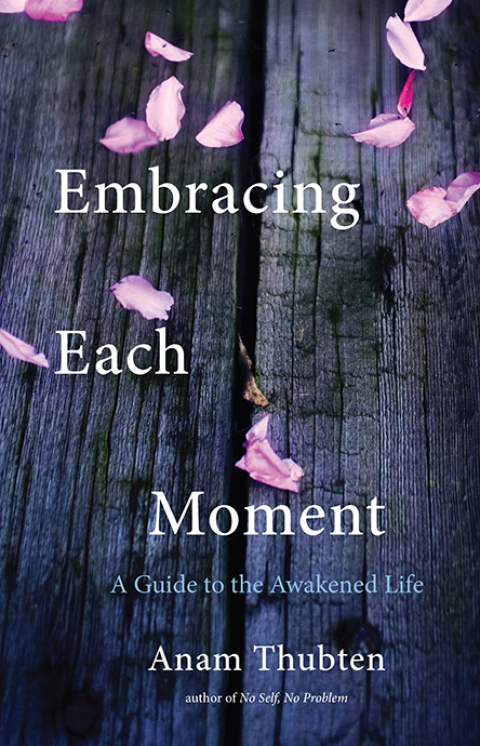 Cover image for book Embracing Each Moment