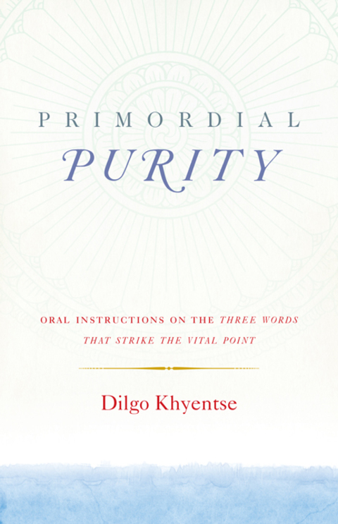 Cover image for book Primordial Purity