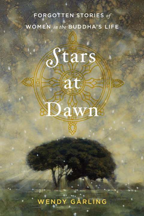 Cover image for book Stars at Dawn