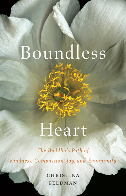 Cover image for book Boundless Heart