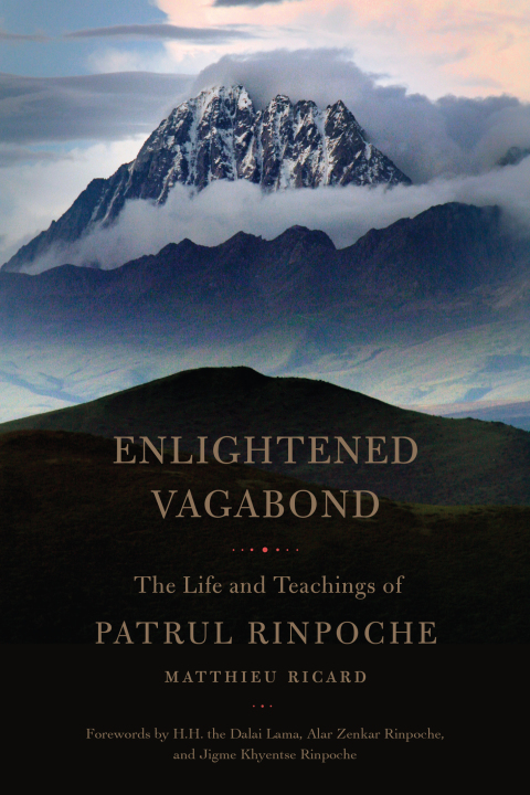 Cover image for book Enlightened Vagabond