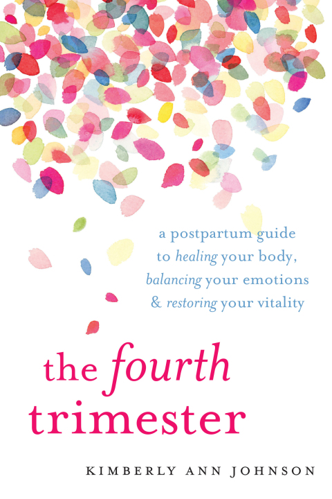 Cover image for book The Fourth Trimester