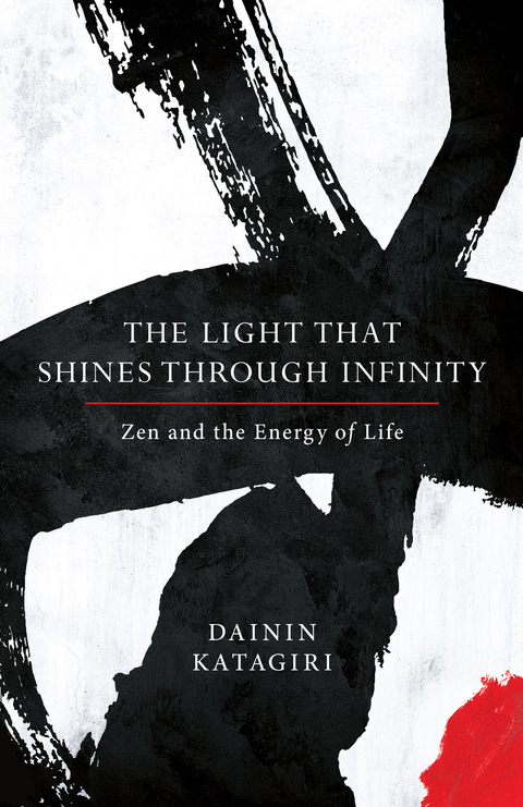 Cover image for book The Light That Shines through Infinity