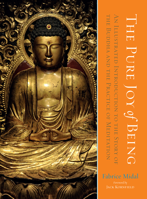 Cover image for book The Pure Joy of Being