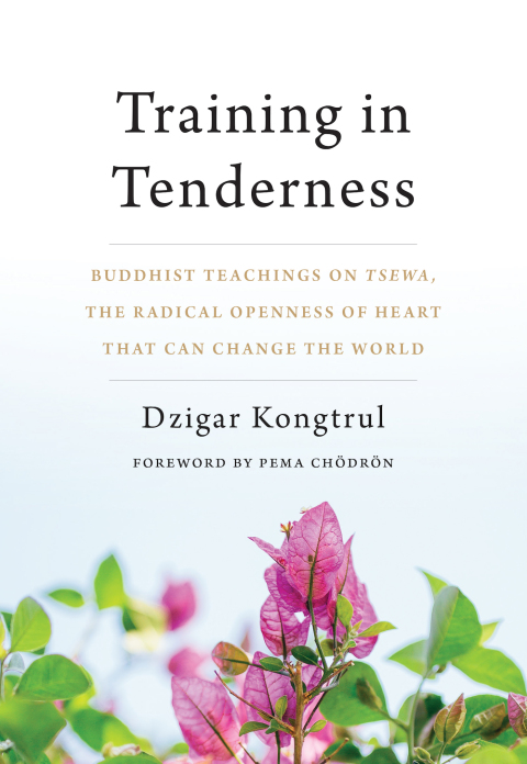 Cover image for book Training in Tenderness