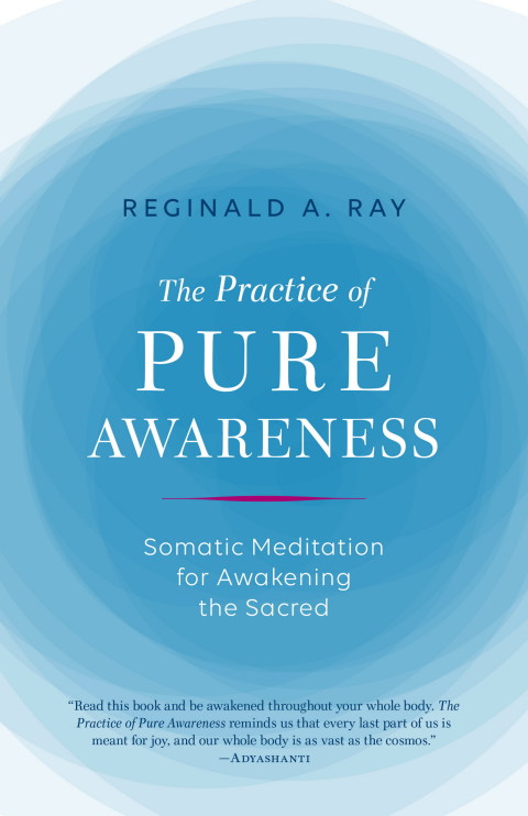 Cover image for book The Practice of Pure Awareness