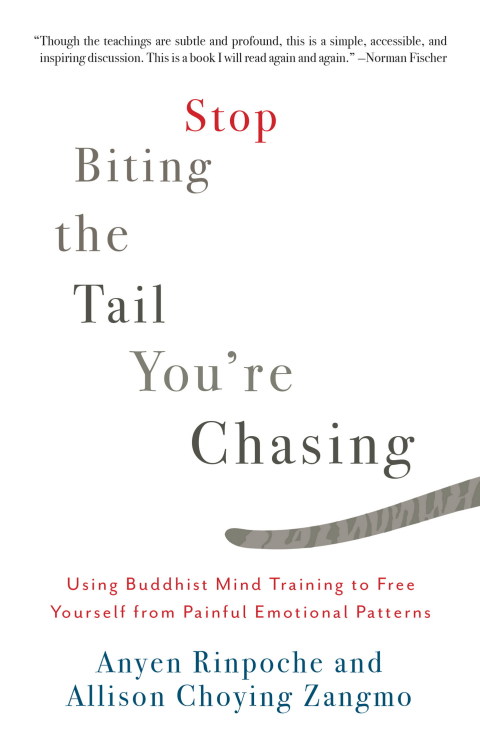 Cover image for book Stop Biting the Tail You're Chasing