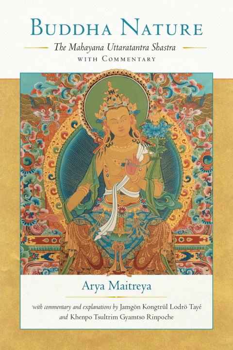 Cover image for book Buddha Nature